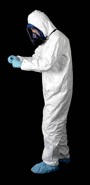 Best Basement Mold Removal  in Frisco City, AL